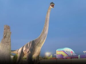 "محمية النوادر" تجربة ترفيهية تستهدف التوعية البيئية في مهرجان الشيخ زايد