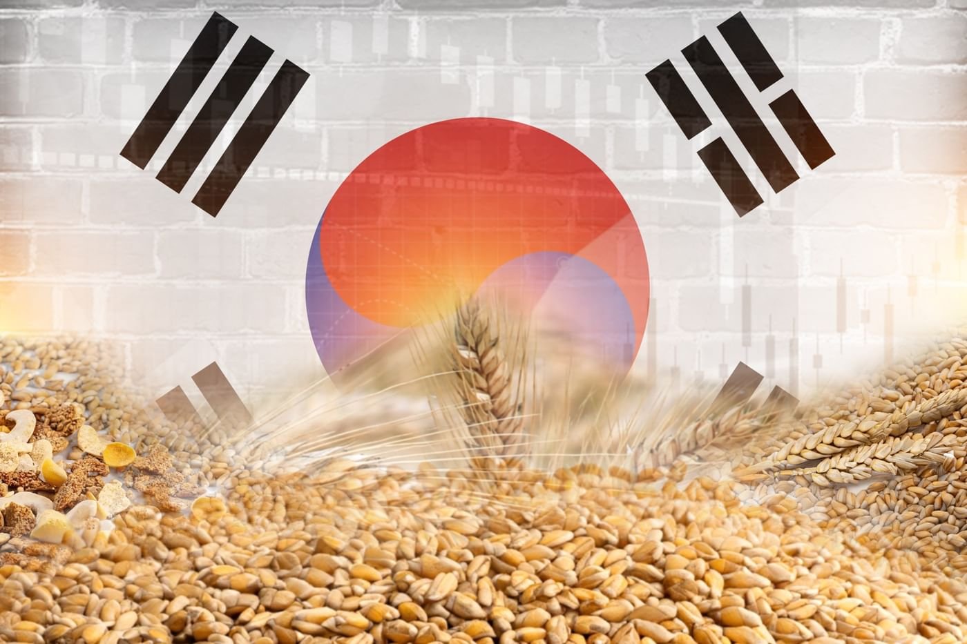 10.2 مليار دولار صادرات كوريا الجنوبية الزراعية والغذائية خلال 2025 1 10.2 مليار دولار صادرات كوريا الجنوبية الزراعية والغذائية خلال 2025