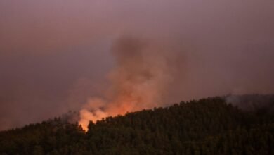ارتفاع ضحايا حرائق الغابات في تشيلي إلى 18 قتيلا وإعلان حالة الكارثة