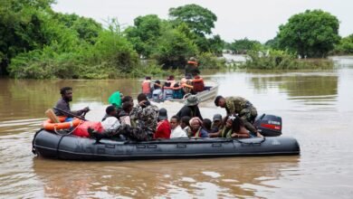 التماسيح تظهر في شوارع مدن بموزمبيق إثر فيضانات عارمة