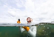 "اكسبوجر 2026" يجمع مصورين وباحثين ومستكشفي المحيطات في "القمة البيئية"