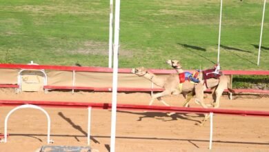 انطلاق سباق مكرمة حاكم الشارقة لسن الفطامين بميدان الذيد