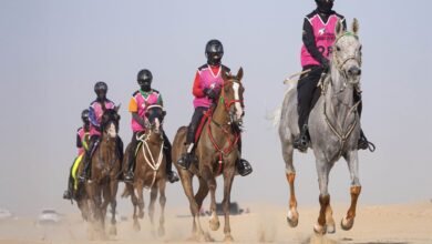 سباق سلطان بن زايد الدولي للقدرة ينطلق غدا في قرية بوذيب