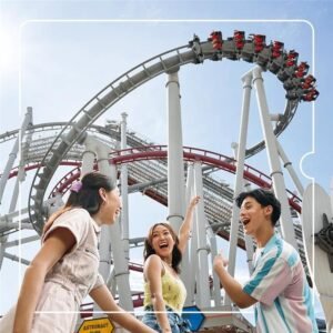 "ألايك" تطلق بطاقات سياحية رقمية مبتكرة وقابلة للتخصيص للمسافرين إلى دبي ولندن وباريس وسنغافورة 2 "ألايك" تطلق بطاقات سياحية رقمية مبتكرة وقابلة للتخصيص للمسافرين إلى دبي ولندن وباريس وسنغافورة