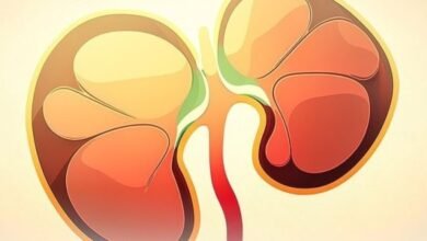 6 نصائح مهمة للوقاية من الفشل الكلوي