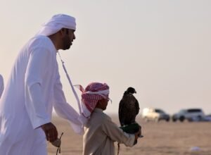 "مخيم المربعانية" ينطلق في يناير بمدينة زايد في منطقة الظفرة