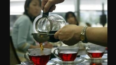 دراسة جديدة