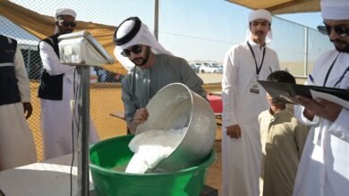 المسابقات التراثية