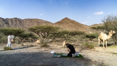 برعاية محمد الشرقي.. الفجيرة تستضيف إقامة فنيّة لتدريب 20 فنانا إماراتيا