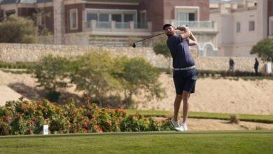 المبادرة الإماراتية