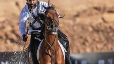 إقبال كبير على المشاركة في بطولة التقاط الأوتاد بالوثبة 3 إقبال كبير على المشاركة في بطولة التقاط الأوتاد بالوثبة