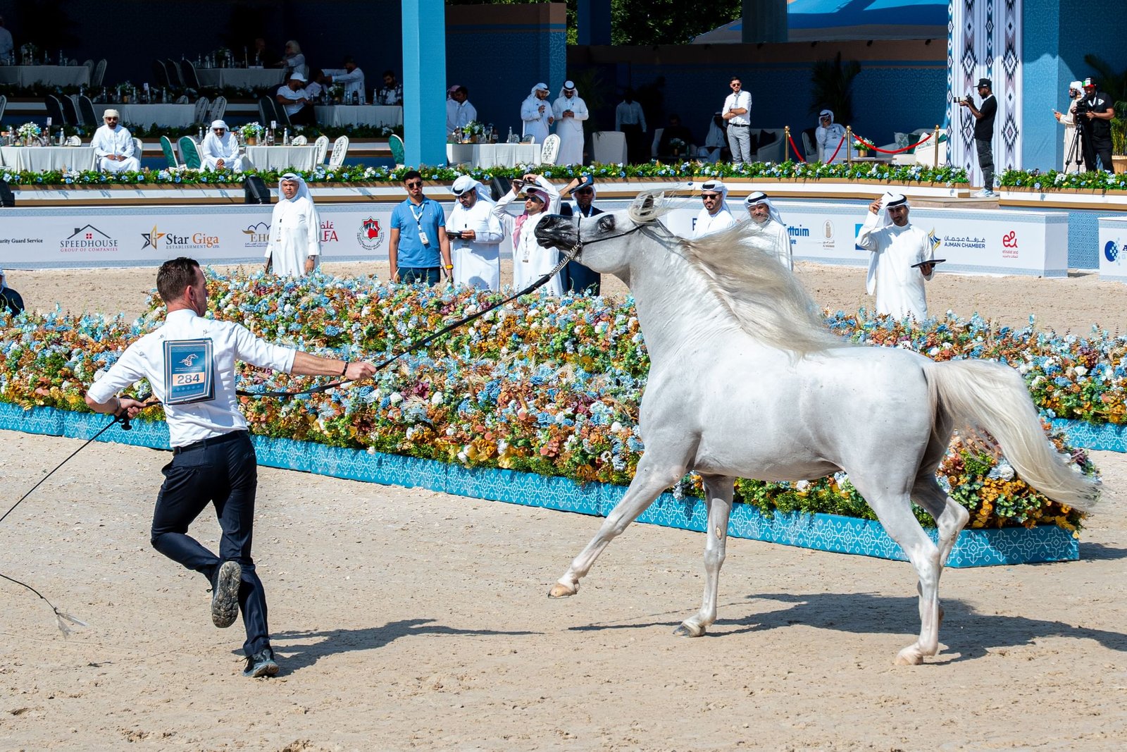 تنظيم متكامل يصنع تجربة ناجحة في بطولة عجمان لجمال الخيل العربية 2026 1 تنظيم متكامل يصنع تجربة ناجحة في بطولة عجمان لجمال الخيل العربية 2026