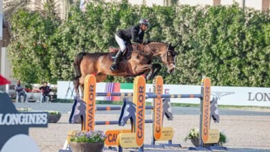 بطولة كأس الأمم لقفز الحواجز تنطلق غدا بنادي الشارقة للفروسية