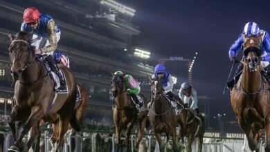 94 خيلاً تتنافس على 10 ملايين درهم في أمسية "فاشن فرايداي"