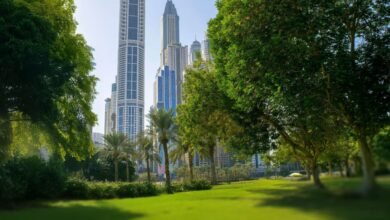 المتنزهات الطبيعية في الإمارات منصات مفتوحة لاستقطاب المستثمرين ورواد الأعمال