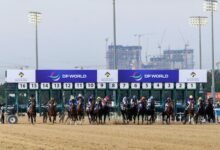 9 سباقات عالمية في الأمسية السابعة على مضمار ميدان بمشاركة 123 خيلاً