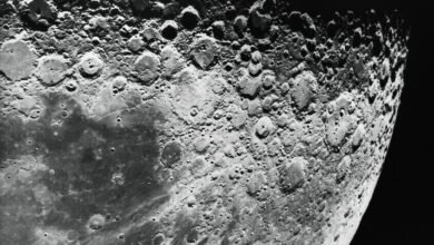 بمليون دولار