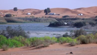 بلدية مدينة العين تطوّر مرافق خدمية في بحيرة زاخر