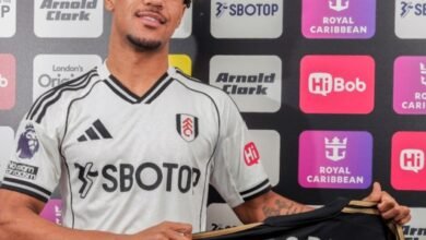 فولهام يدعم صفوفه من مانشستر سيتي