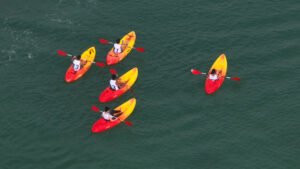 "مهرجان دبي للرياضات المائية" يتوج الفائزين في مسابقتي "الصيد" و"التجديف" 5 "مهرجان دبي للرياضات المائية" يتوج الفائزين في مسابقتي "الصيد" و"التجديف"