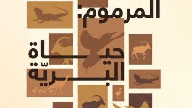 "دبي للثقافة" تطلق معرضا بيئيا فوتوغرافيا في محمية المرموم الصحراوية