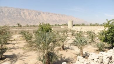 "ثقافة وسياحة أبوظبي" تُعلن برنامج "مؤتمر تيرا 2026" بالعين