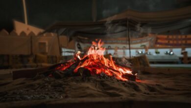 مهرجان الظفرة