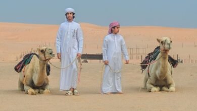 النسخة الأولى من "مخيم المربعانية" في مدينة زايد تنطلق بعد غد