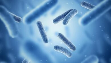 دبي تستضيف ندوة طبية حول "ثورة الميكروبيوم 2026" فبراير المقبل