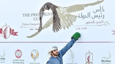كأس رئيس الدولة للصيد بالصقور تنطلق غداً في أبوظبي