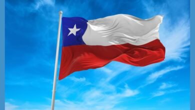 مشروع زراعي بتشيلي يستخدم الذكاء الاصطناعي لتحقيق كفاءة مائية تصل إلى 95%