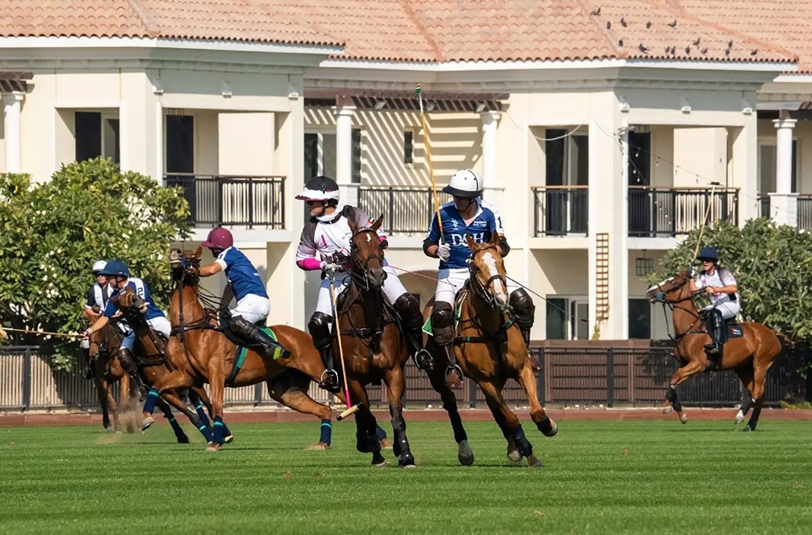 فوز "الإمارات" و"ذئاب دبي" بكأس دبي الفضية للبولو 1 فوز "الإمارات" و"ذئاب دبي" بكأس دبي الفضية للبولو