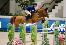 6 منافسات دولية فئة "5 نجوم" في كأس رئيس الدولة لقفز الحواجز بأبوظبي