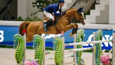 6 منافسات دولية فئة "5 نجوم" في كأس رئيس الدولة لقفز الحواجز بأبوظبي