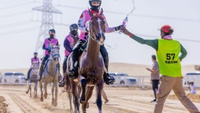 سباق فاطمة بنت منصور للقدرة ينطلق غداً بالوثبة