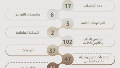 "استشاري الشارقة" في 2025 .. ركيزة أساسية في منظومة العمل الحكومي والمؤسسي بالإمارة
