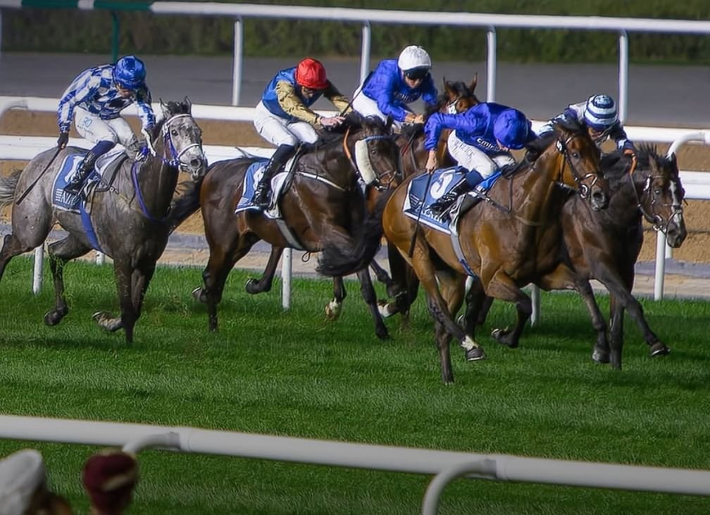 "ميدان" يستضيف غداً الأمسية الـ8 لكرنفال سباقات دبي بمشاركة 134 خيلاً 1 "ميدان" يستضيف غداً الأمسية الـ8 لكرنفال سباقات دبي بمشاركة 134 خيلاً