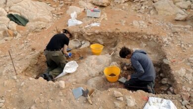 الشارقة تفتح باب الترشح لـ"منحة الفاية للبحوث" لدعم علوم التراث الثقافي والبحث العلمي