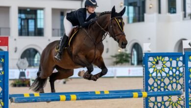 الإعلان عن تفاصيل كأس أكاديمية فاطمة بنت مبارك الدولية لقفز الحواجز