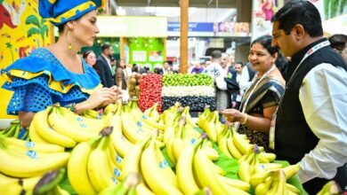 انطلاق"جلفود فريش" 26 ينايرفي دبي