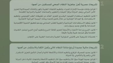 حكومة الإمارات برئاسة محمد بن راشد/تحديث تشريعي شامل لتسريع خطط التنمية وتعزيز التماسك المجتمعي
