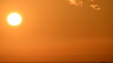 2025 أكثر السنوات حراً في بريطانيا