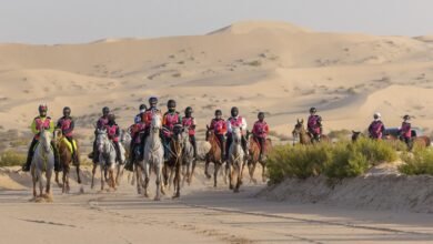 نجاح لافت لمهرجان سلطان بن زايد للقدرة بمشاركة 410 فرسان وفارسات