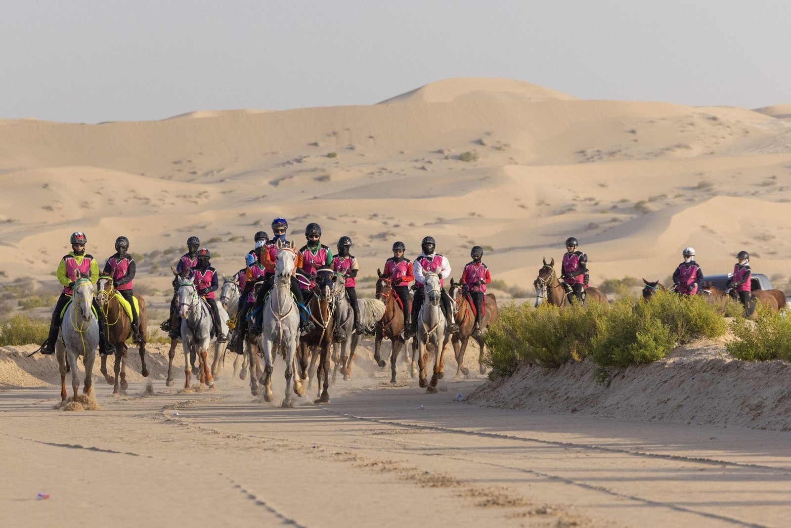 نجاح لافت لمهرجان سلطان بن زايد للقدرة بمشاركة 410 فرسان وفارسات 1 نجاح لافت لمهرجان سلطان بن زايد للقدرة بمشاركة 410 فرسان وفارسات