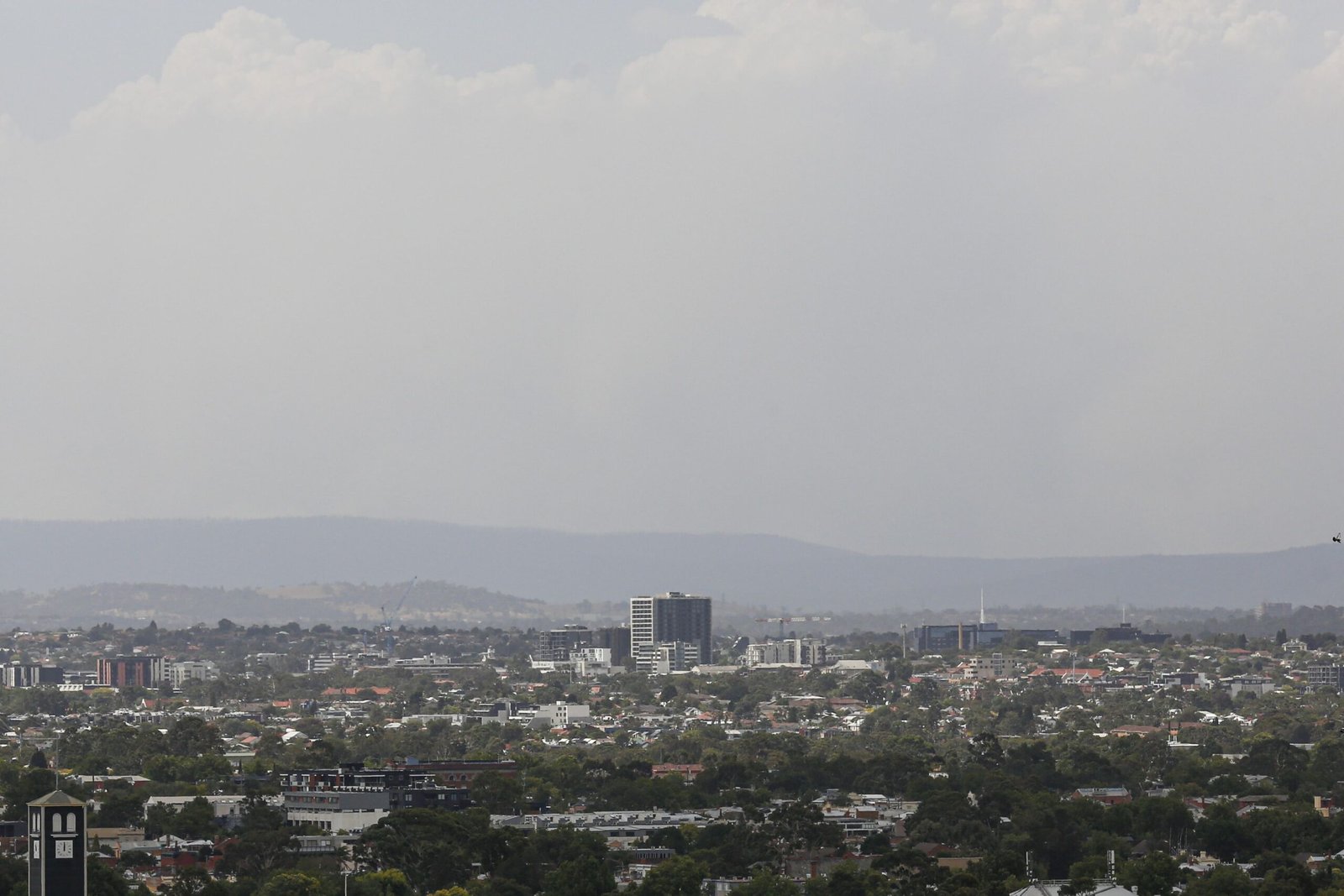 حرائق الغابات تجتاح جنوب شرق أستراليا 1 حرائق الغابات تجتاح جنوب شرق أستراليا