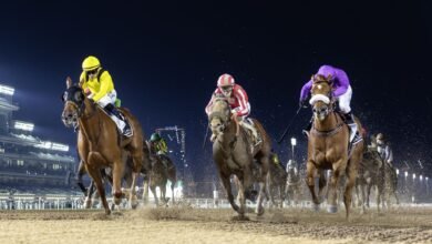 "ميدان" يستضيف أول أمسية سباقات للتوعية بالتوحد مارس المقبل