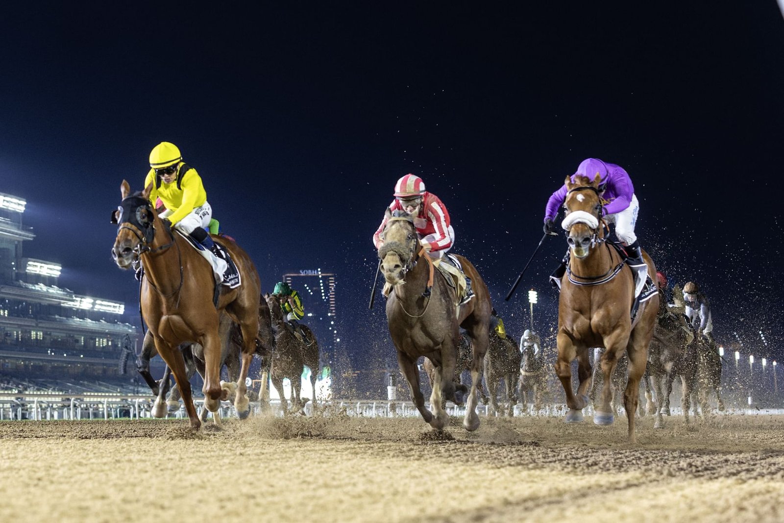 "ميدان" يستضيف أول أمسية سباقات للتوعية بالتوحد مارس المقبل 1 "ميدان" يستضيف أول أمسية سباقات للتوعية بالتوحد مارس المقبل