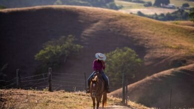 اكسبوجر 2026 يوثق حكايات بصرية عبر عدسات أبرز مصوري البورتريه العالميين