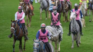 مهرجان محمد بن راشد آل مكتوم للقدرة يدشّن نسخته الـ19 الثلاثاء المقبل