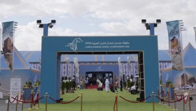 ‎غدا.. انطلاق بطولة عجمان لجمال الخيل العربية بمشاركة واسعة وتجهيزات عالمية